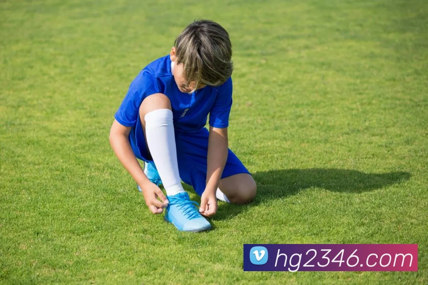 皇冠网官网平台生态图